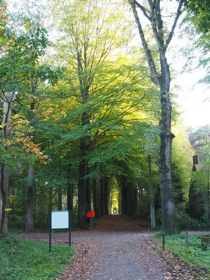 Vagevuurbos en Lippensgoed-Bulskampveld (België)